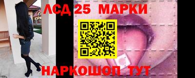 apvp Дмитров
