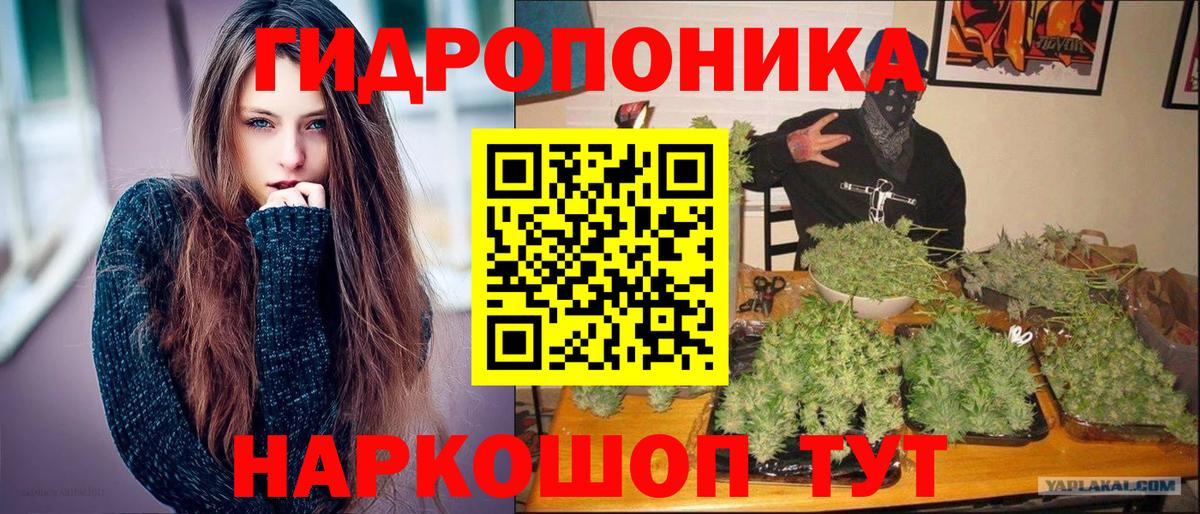Конопля OG Kush Дальнереченск